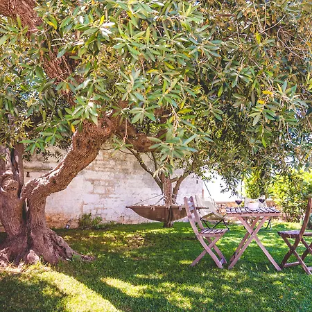 Trulli-eu بيت ضيافة 3*